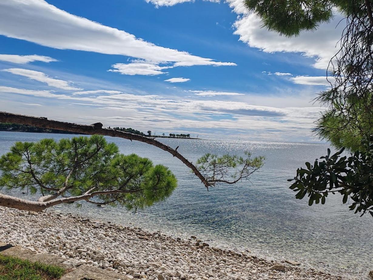 Apartments Oleander Lovrecica-Residence With Pool 外观 照片